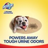 Resolve Carpet Concentrate for Steam Urine Destroyer, Carpet Cleaner Solution,