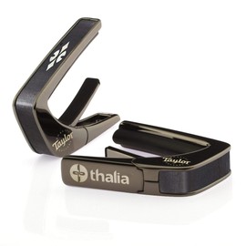 Taylor Black Finish Capo - 700 Series Reflections Fingerboard Marker