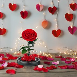 BLOSSBLISS 9 inch Red Selected Preserved Rose in Glass Dome, Perfect Real Rose Gift for her, Eternal Preserved Flower Gifts for Her, Christmas Valentine's Anniversary Birthday Mother's Day