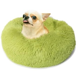 Green Dog Beds for Small Dogs Tiny,Fluffy Dog Beds for Extra Small Dogs 15 inches Donut Soft Small Pet Bed,Calming Anti Anxiety Round Fits up to 5 lbs Warm Comfort Pets Beds for Puppy Dogs Indoor