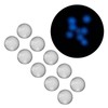 10pcs Blue Watch Luminous Bezel Dot Watch Dial Luminous Dot