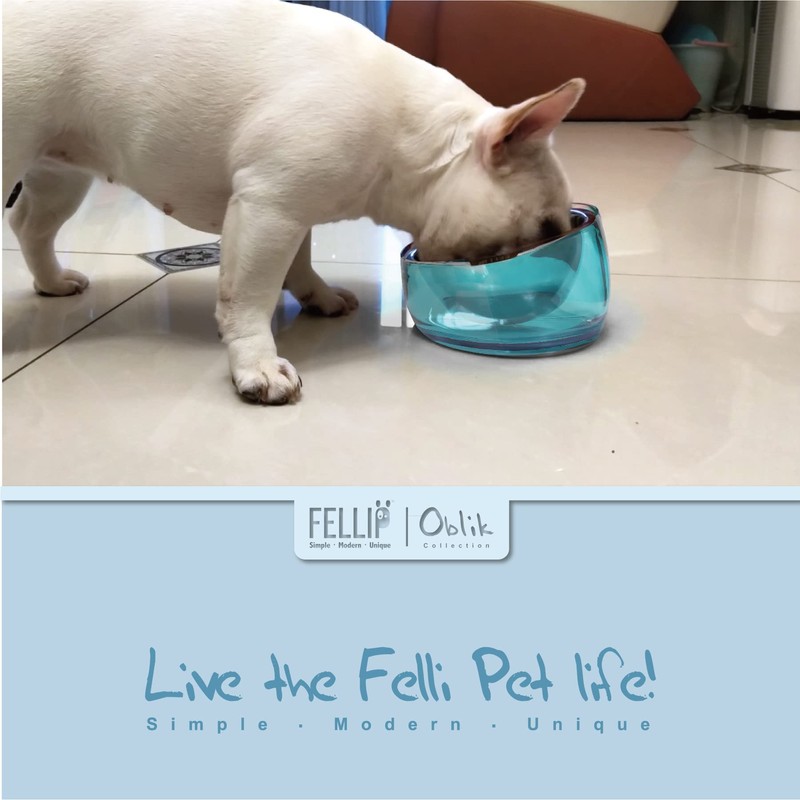 Felli Pet Oblik Slanted Dog Food Water Bowl Elevated Stainless