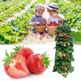 HXStar Pack of 2 Plant Bag Hanging Vertical Plant Bag Strawberry Grow Bag Breathable Plant Bag with 8 Holes Plant Bag Hanging Strawberry Plant Bags