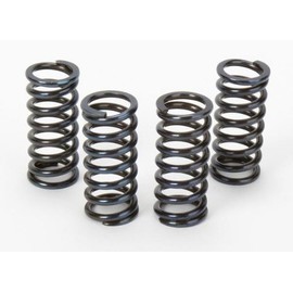 Vesrah Racing Clutch Spring Set