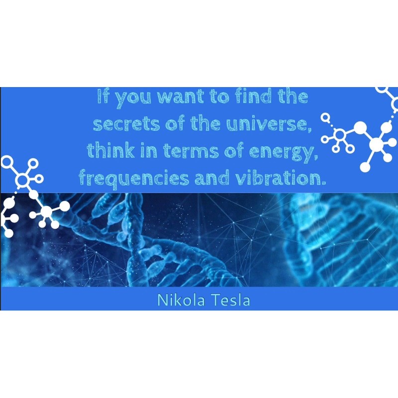 Root Chakra Cleanse Optimize Unblock Heal Body Patch Scalar Frequency