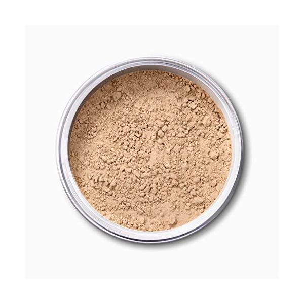 EX1 Cosmetics Pure Crushed Mineral Powder Foundation (6.0)