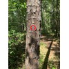 Wild Drifter Trail Markers - Bright Reflective Trail Marker Pack