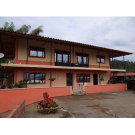 Colombian Unroasted Green Coffee Beans 100% Arabica - farm origin Barcelona (20 Lb)