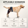 KISFLY Dog Knee Brace for Small Dogs, Patella Support &