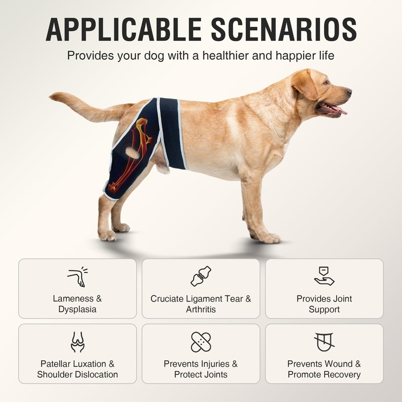 KISFLY Dog Knee Brace for Small Dogs, Patella Support &