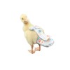 HEZHUO Poultry Diapers - Waterproof, Adjustable, Washable and Reusable for