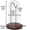 Clear Glass Display Dome with Metal Hook & Wood Base