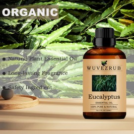 Eucalyptus Essential Oils Organic, 120ML 100% Pure and Natural Eucalyptus Essential Oil for Aromatherapy Diffuser - Eucalyptus /4 Fl Oz