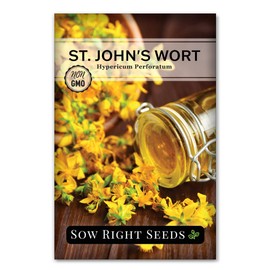 Sow Right Seeds - St John’s Wort Seeds for Planting - Non-GMO Heirloom Packet with Instructions to Plant & Grow an Outdoor or Indoor Herb Garden - Native Wildflower with Medicinal & Culinary Uses (1)