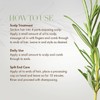 MIELLE Rosemary Mint Scalp & Hair Strengthening Oil Model (3399-9243)