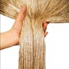 Wisafory Thread Curtain, Thread Curtain, Glitter Thread Curtains, Fly Curtain,