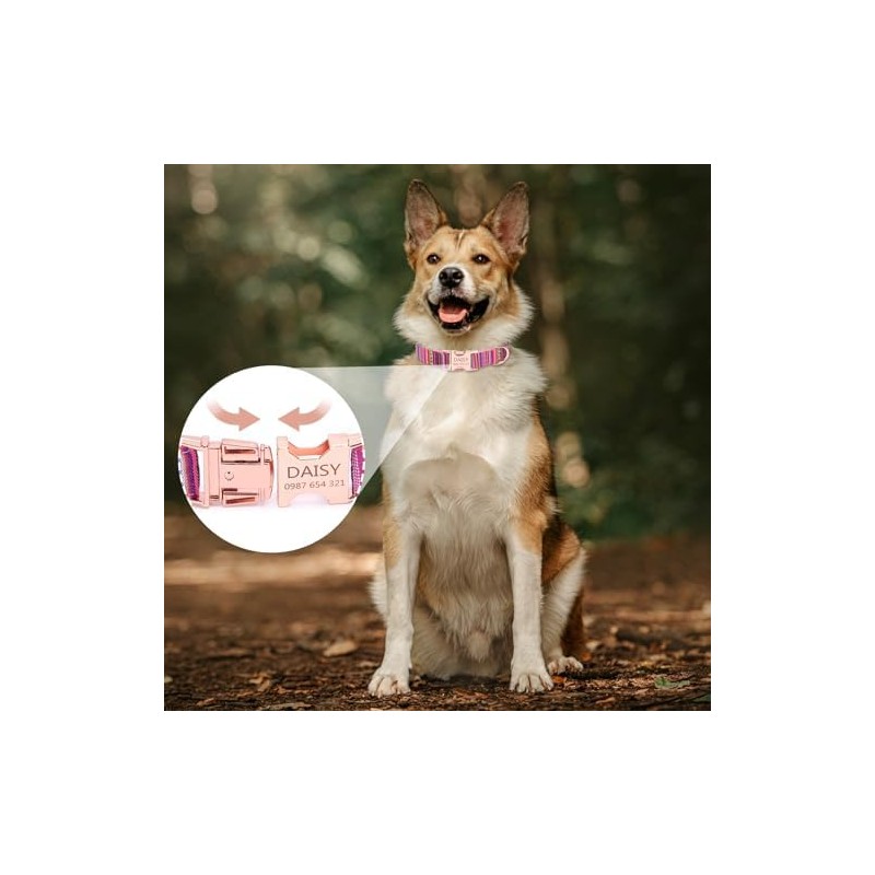 Collares de Perro Personalizados con Nombre, Grabado Personalizado Perros Collar