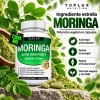 Extracto De Moringa Oleifera En Cápsulas 1200 Mg 90 Piezas