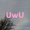 UwU Kawaii Emoticon Meme Vinyl Decal (Bubblegum Pink)