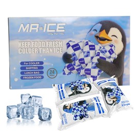 Mr.Ice Dry Ice Packs for Coolers, 24 Pack Ice Packs for Lunch Boxes Cold Packaging for Shipping Reusable, Long Lasting Shipping Cold Packs for Mailing, Newly Dry Ice Packets, Keep Food Drink Cool