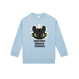 How To Train Your Dragon Girls Sweatshirt, Toothless Girls Jumper, Kids Sweatshirt For Spring, Cotton Jumper, Blue 8-9 Years