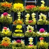 130g Herbal Tea Organic Flower Tea 16 Kinds of Handmade