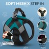 Gooby Soft Mesh X Step in, Turquoise, Large