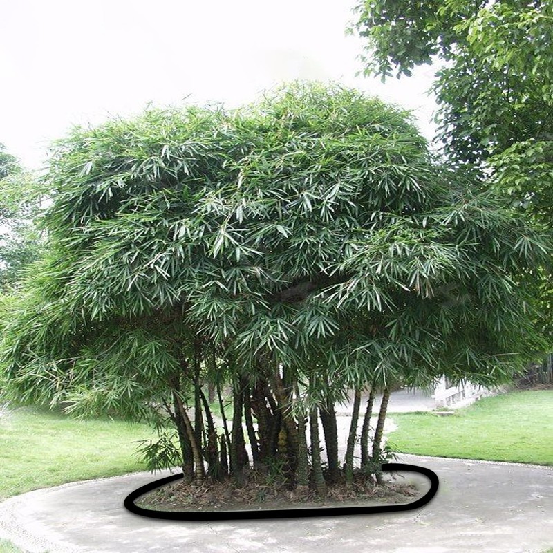 15ft x 18in x 60mil Tree Root Barrier -Protect Sidewalks