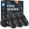 Dog Shoe