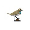 BlueBrixx Pro 108365 - Bluethroat made of clamping blocks with