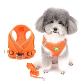 Zunea Dog Harness and Lead for Small Dogs Puppies Adjustable Reflective Chest Harness Soft Mesh Cat Harness Escape Proof for Puppia Chihuahua Girls and Boys Orange M