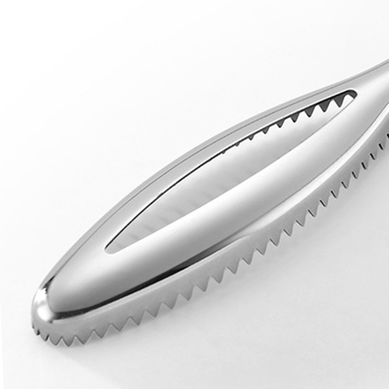 GEEKHOM Fish Scaler, Professional Fish Scaler Made of Stainless Steel