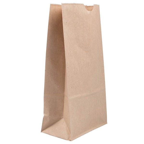 JAM PAPER 100% Recycled Snack/Lunch Bags - Medium (5 x 9 3/4 x 3) - Brown Kraft Grocery Bags - 25/Pack