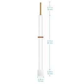 stonylab Titanium Electrode, Multi-Purpose Titanium Sheet Electrode with 10 x 10 x 0.1 mm Titanium Sheet Plate and PTFE Body for StonyLab Electrolyte Cell Laboratory Electrode