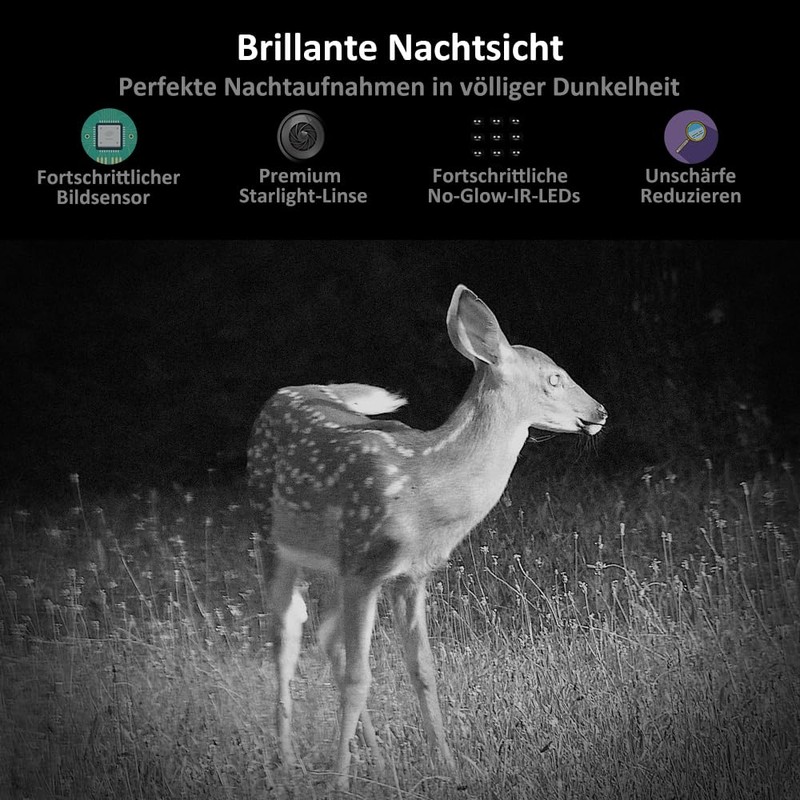 GardePro A3S Wildlife Camera, 64MP 1296P H.264 Video Wildlife Camera