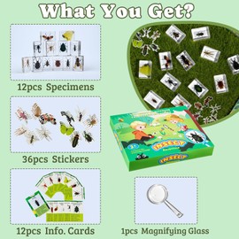 Artojoy Insect in Resin Specimen, 12 PCS Scientific Educational Bugs Collection, Real Specimens of Various Butterflies and Beetles Preserved, Stickers, Science Classroom Preschool Display(Total 61pcs)