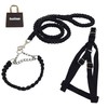 Braided Chalk Collar Harness Lead (DauStage) Small Dogs, Medium Dogs,
