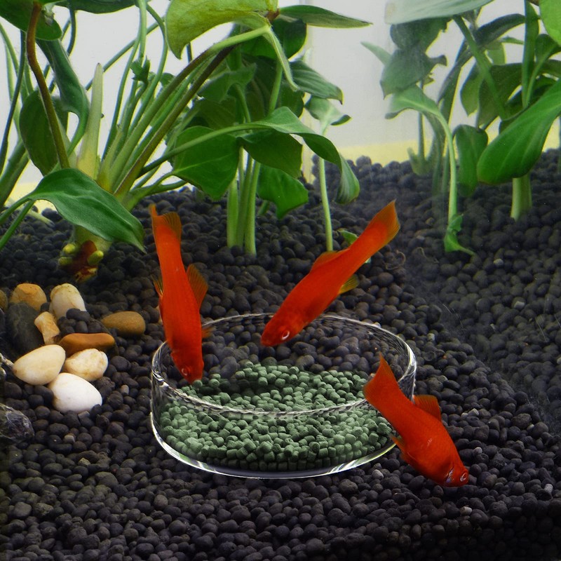 WEAVERBIRD 80mm Aquarium Shrimp Feeder Dish Glass Fish Tank Feeding