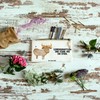 Mr. & Mrs. Panda S Makeup Bag Zodiac Sign Taurus