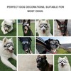 Windproof Waterproof Pet Goggles Ultraviolet Proof Sunglasses Pet Decoration for