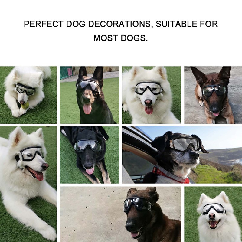 Windproof Waterproof Pet Goggles Ultraviolet Proof Sunglasses Pet Decoration for