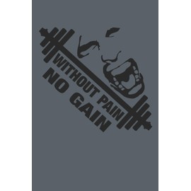 Without Pain No Gain: Fitness Journal. Format A5, 120 pages, fine light grey lined. Daily entries, notes and physical fitness journal. Notebook for your fitness and bodybuilding progress