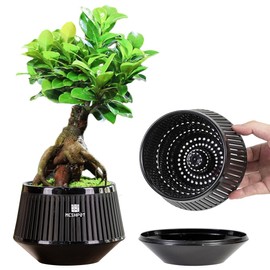 Meshpot 5 Inch Bonsai Pots with Drainage Tray, Set of 1, Plastic Imitate Ceramic Bonsai Tree Pot with Excellent Airflow, Black Succulent Pots for Indoor Plants, Juniper, Ficus, Chinese Elm, Cactus