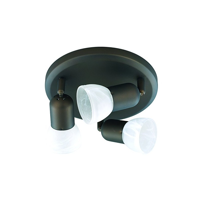 Canarm ICW9313 Jackson Ceiling Wall Light, Oil-Rubbed Bronze