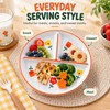 8-Inch Bone China Divided Plate for Breakfast & Meals –
