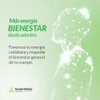 ALCACHOFA Y CARDO MIX (120 Tabletas de 500 mg/cu). Suplemento