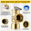 Gulfmew 30 PSI Pressure Relief Valve, 3/4" FNPT Female Inlet