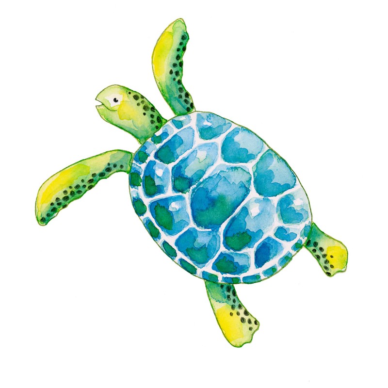 Faber-Castell 114413 - Farbstift Kinder Aquarell 12er Kartonetui
