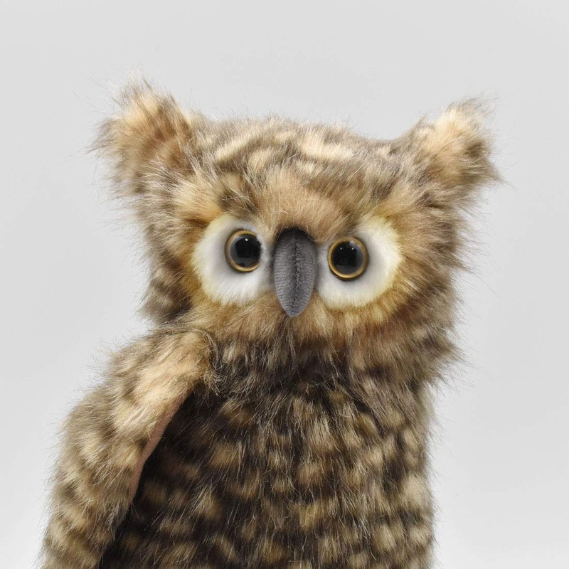 Owl No. 4466 