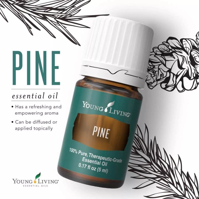 Young Living Aceite Esencial Pino Young Living